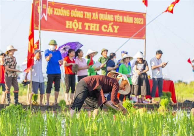 Miền cửa biển Quảng Ninh tổ chức Lễ hội xuống đồng (23/7/2023)